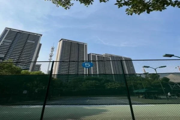 乒乓球亚洲杯男单决赛王楚钦对张本智和攻防节奏与关键分胜负手
